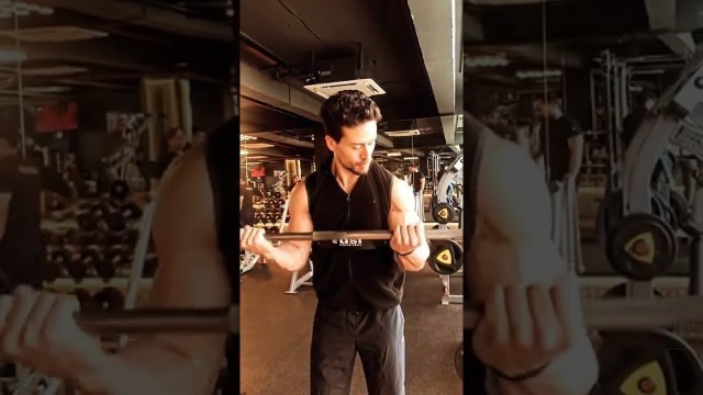 'tiger shroff gym body #Tiger_Shroff #shorts'