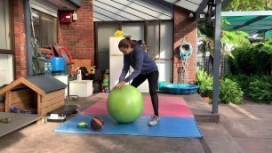 'Stability Ball Balance Exercises & Progressions'