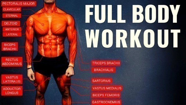 'Full Body Workout | Steve cook'