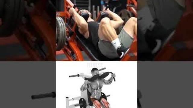 'how to build leg muscles / 1 best exercise 3D video GYM #8 #Shorts'