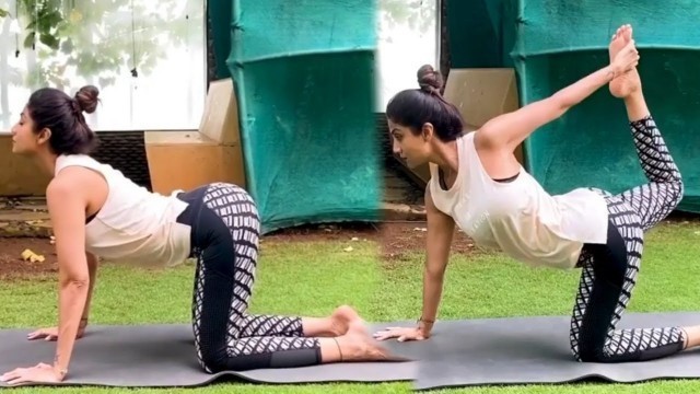 'Shilpa Shetty\'s Amazing Yoga Workout  for Maintain Fitness at Home'