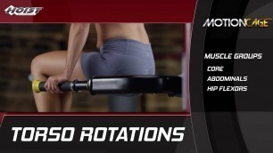 'How to perform TORSO ROTATIONS - HOIST Fitness MotionCage Exercise'