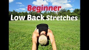 'Beginner Stretches to Stop Low Back Pain with Sean Vigue Fitness'