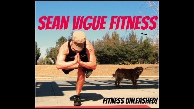 'Welcome to Sean Vigue Fitness!'