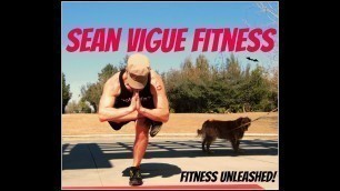 'Welcome to Sean Vigue Fitness!'
