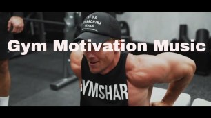 'Gym Motivation - Ruined My Life , Steve Cook'