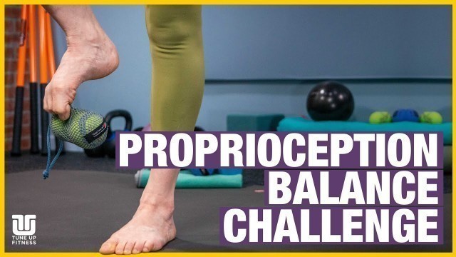 'Proprioception Balance Challenge'