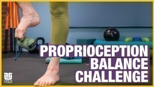 'Proprioception Balance Challenge'