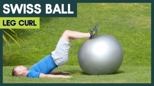 'Leg Curl | Swiss Ball Exercises'