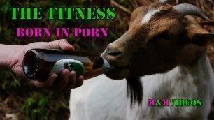 'THE FITNESS - Born In Porn'
