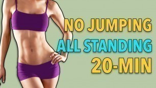 '20-MIN STANDING WORKOUT (NO JUMPING) - Achievable Body Transformation Results'