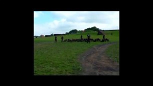'Royal Marines Commando Look At Life The Assault Course Part 1'