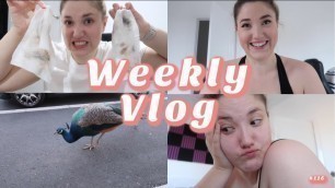 'Weekly Vlog #116 | Broken Glasses, Fitness Journey & Return of the Vlogs'
