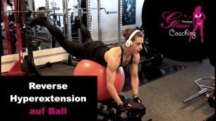 'Reverse Hyperextension auf Stability Ball'