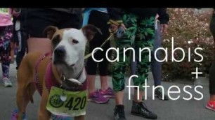 'Cannabis +Fitness by the Infused Cannabis Network'