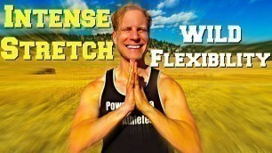 '20 Minute Flexibility Stretch | Sean Vigue Fitness'