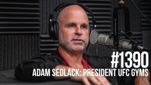 '#1390: The State of the Gym Industry with UFC Gym President Adam Sedlack'