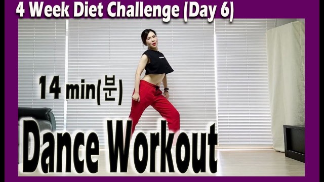 '[4 Week Diet Challenge] Day 6-2 | 14 minute Dance Diet Workout | 14분 댄스다이어트 | 홈트| Sunny Funny Zumba'