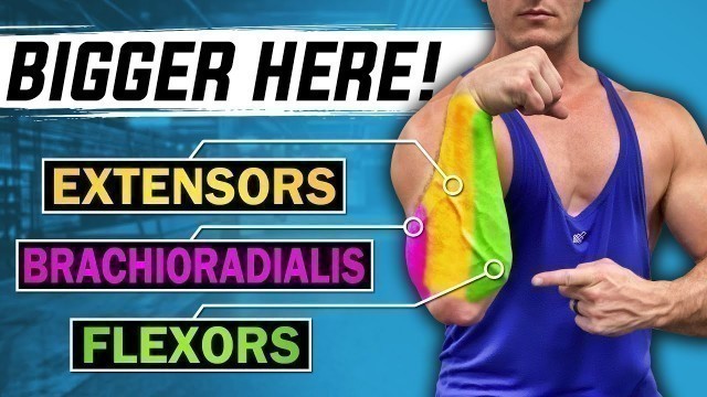'Forearms: The ONLY THREE Exercises You Need For Growth! (+Bonus \"GRIP SPECIFIC\" Exercises)'