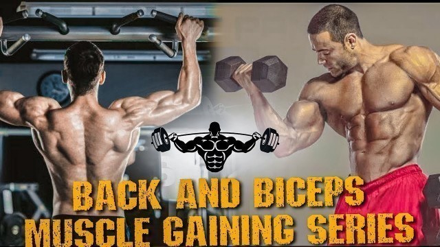 'Muscle Gaining Series | Back and Biceps Workout'