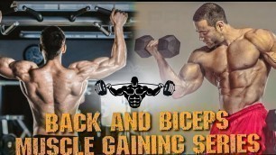 'Muscle Gaining Series | Back and Biceps Workout'
