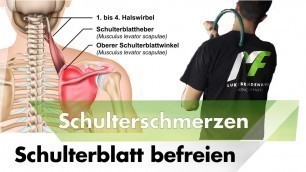 'Schulterblatt mobilisieren | Schulterschmerzen & - Impingement Masterplan #3'