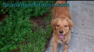'Walking Cross Training Workout for Weight Loss - Sean Vigue Fitness'