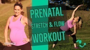 '14 Minute Prenatal Stretch & Flow for any Trimester of Pregnancy'