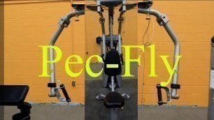 'Hoist Machine   Pec Fly'