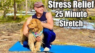 '25 min Morning Yoga Stretch for Stress Relief & Flexibility (FULL BODY) Sean Vigue'