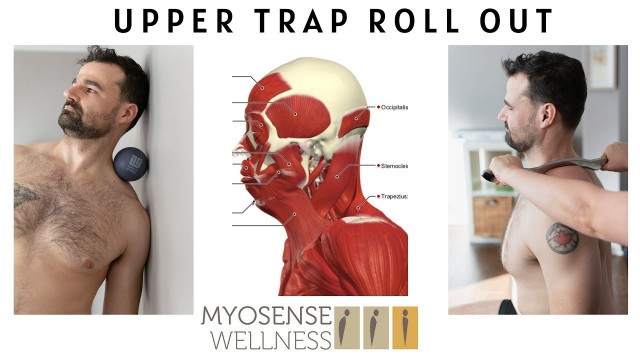 'Upper trap roll out with Tune Up fitness ®'