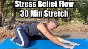 '30 min Beginner Full Body Yoga Stretch - Stress Relief Flow - Sean Vigue Fitness'
