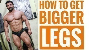 'Complete Leg Day Workout for Beginners | Day 6 | PANGHAL'