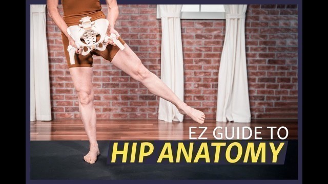 'EZ Guide to Hip Anatomy'