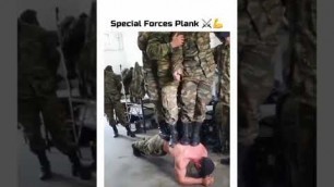 'army fitness power'