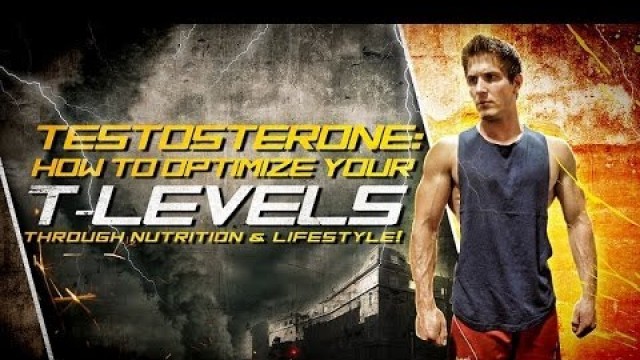 'Testosterone: How To Optimize Your T-Levels Through Nutrition & Lifestyle!'
