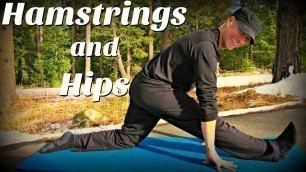 'Day 2 - Hamstrings and Hips Yoga Stretch | 7 Day Flexibility Challenge | Sean Vigue Fitness'