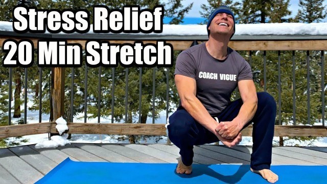'20 Min Beginner Full Body Yoga Stretch - STRESS RELIEF - Sean Vigue Fitness'