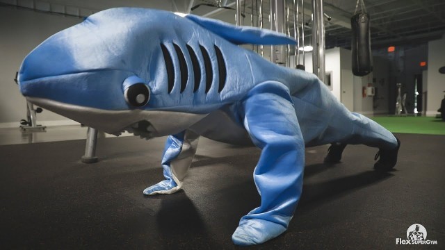 'Gym Owner Attempts Marine Physical Fitness Test in Shark Costume - Shark Week 2020'