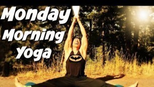 'Day 1 - Sunrise Yoga | 30 Days of Yoga with Sean Vigue Fitness'