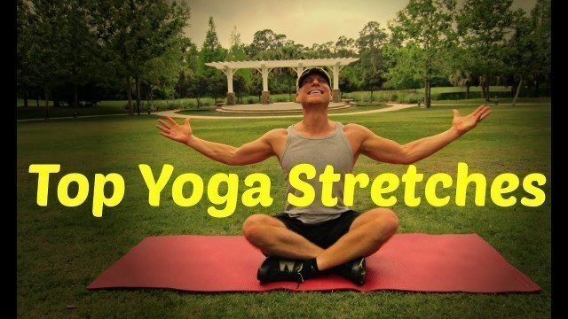 'Best Yoga Stretches | Sean Vigue Fitness'