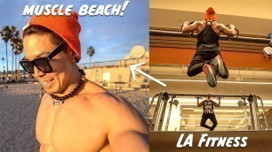 'Fitness Life アメリカ LA Fitness→マッスルビーチ【筋トレ】'