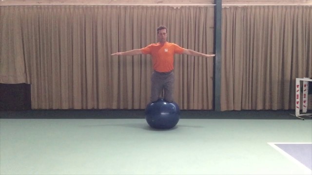 'Fitnessball Video 2. Fortgescritten Übungen'