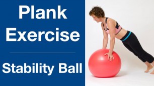 'Stability Ball Plank Exercises'