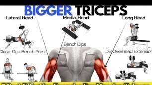 '7 Best Effective Exercise For Massive Triceps 
