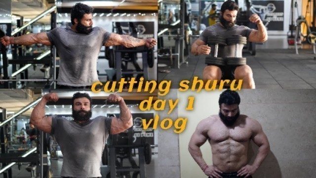 'Cutting shuru | Day 1 | VLOG'