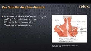 'Fitness Kompetenz Workshop Schulter Nacken Verspannungen 2019 04 28 RELAX Beckum'