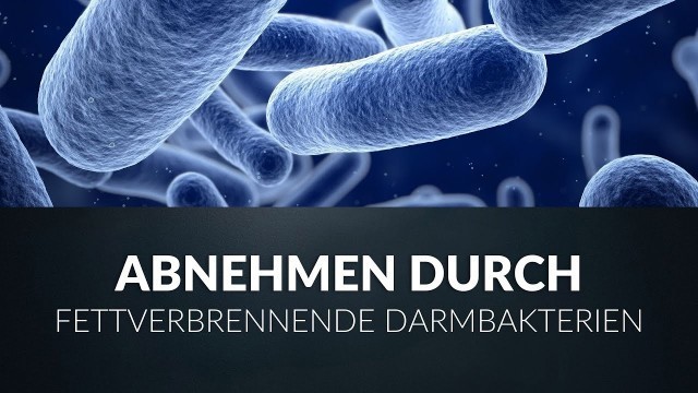 'Abnehmen durch fettverbrennende Darmbakterien'