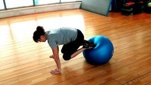 '14 Stability Ball Exercises'