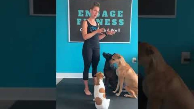 'Pawrent Vs Pup Fitness Challenge